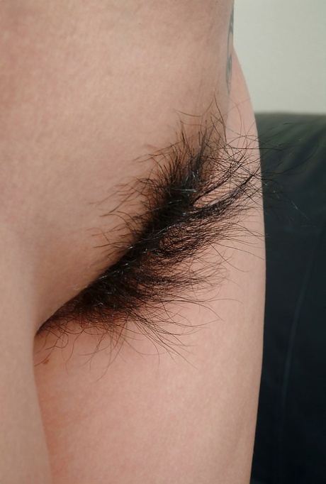Hairy Asian Pussy Porn XXX Galleries