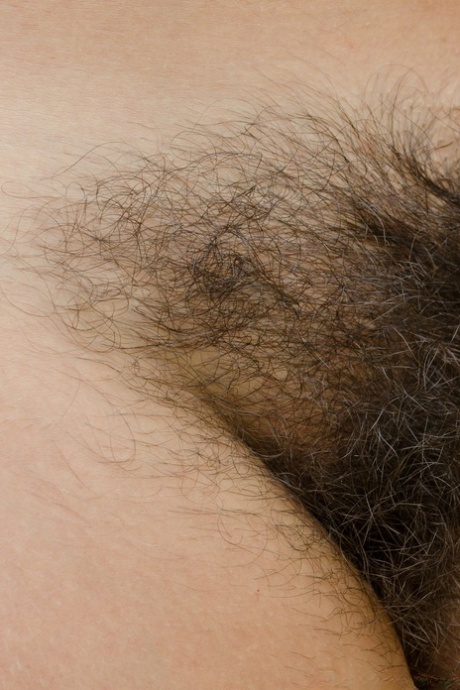 Hairy Teen Pussy Porn XXX Galleries